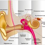 Боль в ухе - причины