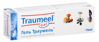 Gel &quot;Traumel&quot;: indications and instructions for use, where to buy, price, reviews