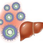 гепатит и мокрота