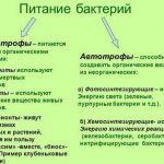 Микробы под микроскопом. Фото на руках, во рту, под ногтями. Какие бывают, как выглядят, презентация для детей