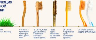 The very first toothbrush