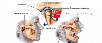 Structure of the TMJ