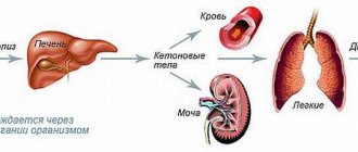 Release of acetone in the body